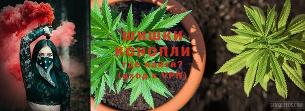 не бодяженный Няндома